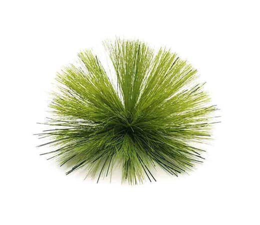 Szczotki twarde - akcesoria do maszyn Rotobrush